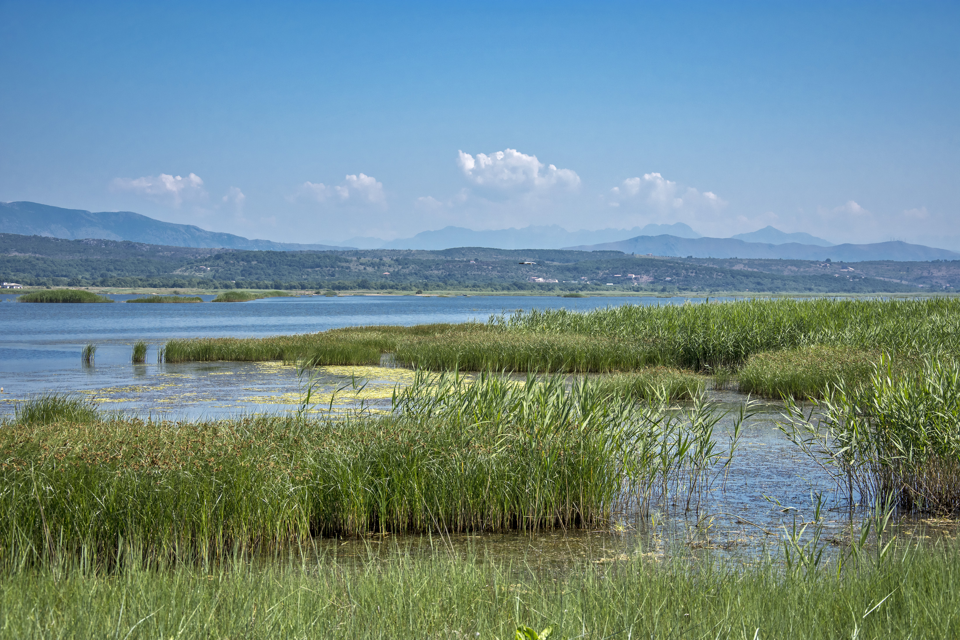 Overview flooded basins Ulcinj Solana